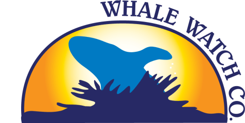 Bar Harbor Whale Watching Company