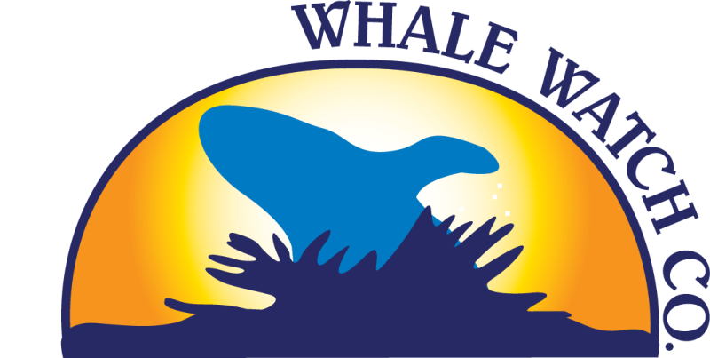 Bar Harbor Whale Watch Co.