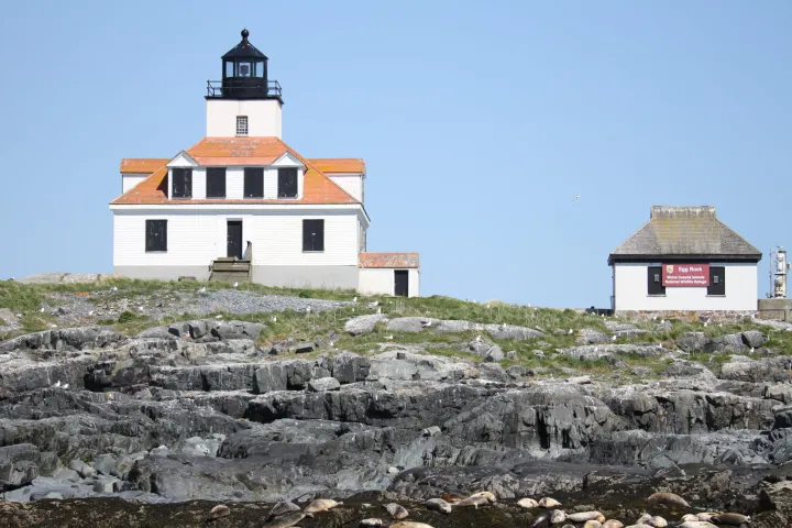 a large stone building with a flock of seagulls standing on a rock with Coquille River Light in the background