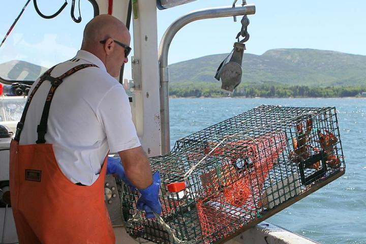 a man standing next to a body of water