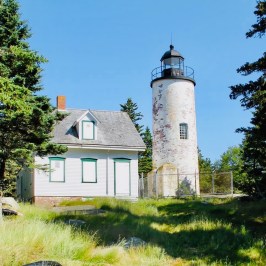 a herd of sheep grazing in front of a house with Old Presque Isle Light in the background