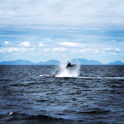 a body of water next to the ocean