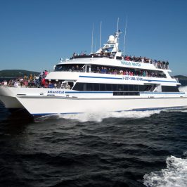 a large ship in a body of water