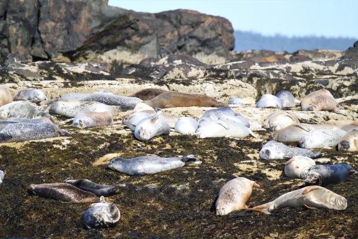 a rocky beach next to the rock