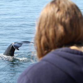 a person sitting next to a body of water