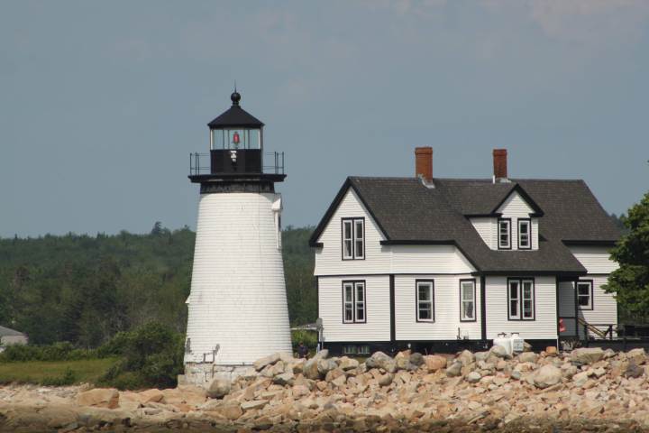 a group of sheep in front of a house with Point Pinos Lighthouse in the background